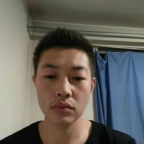 休行的蚂蚁微贷的照片