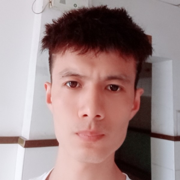 激动蚂蚁的照片