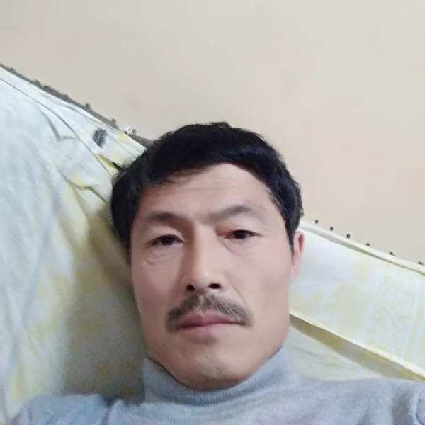 乌龟还单身的照片