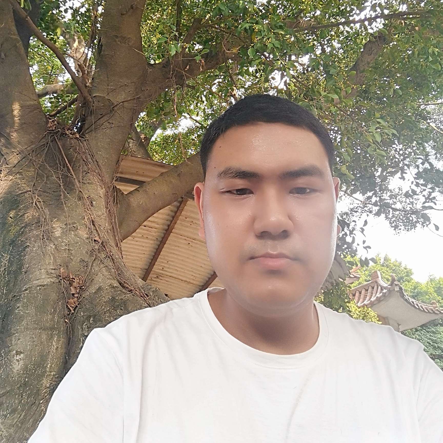 寻找有缘的你……的照片