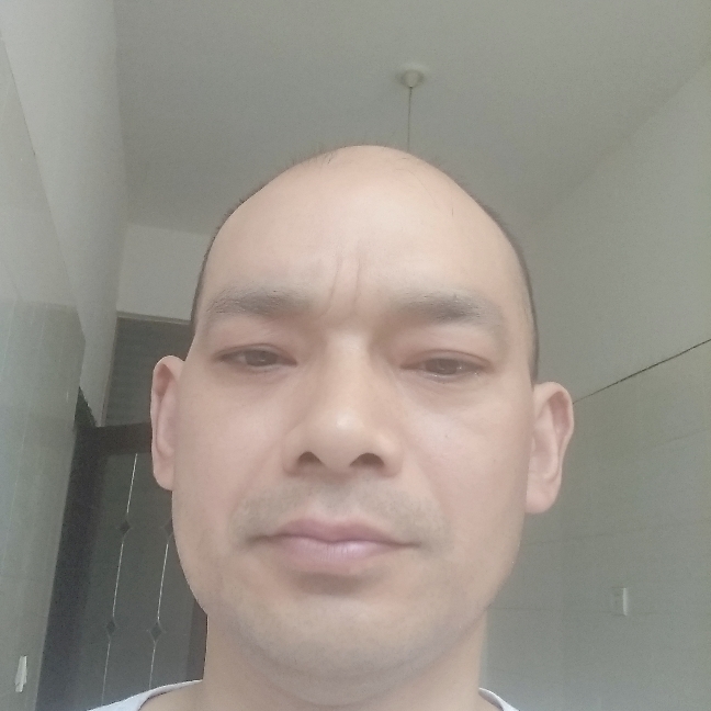 斑马合适的照片
