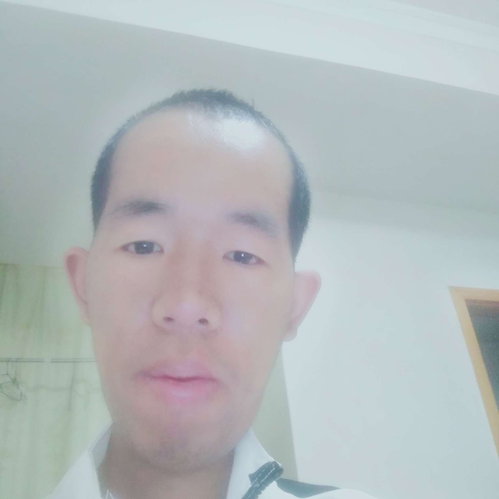 纸鹤和寂灭的照片