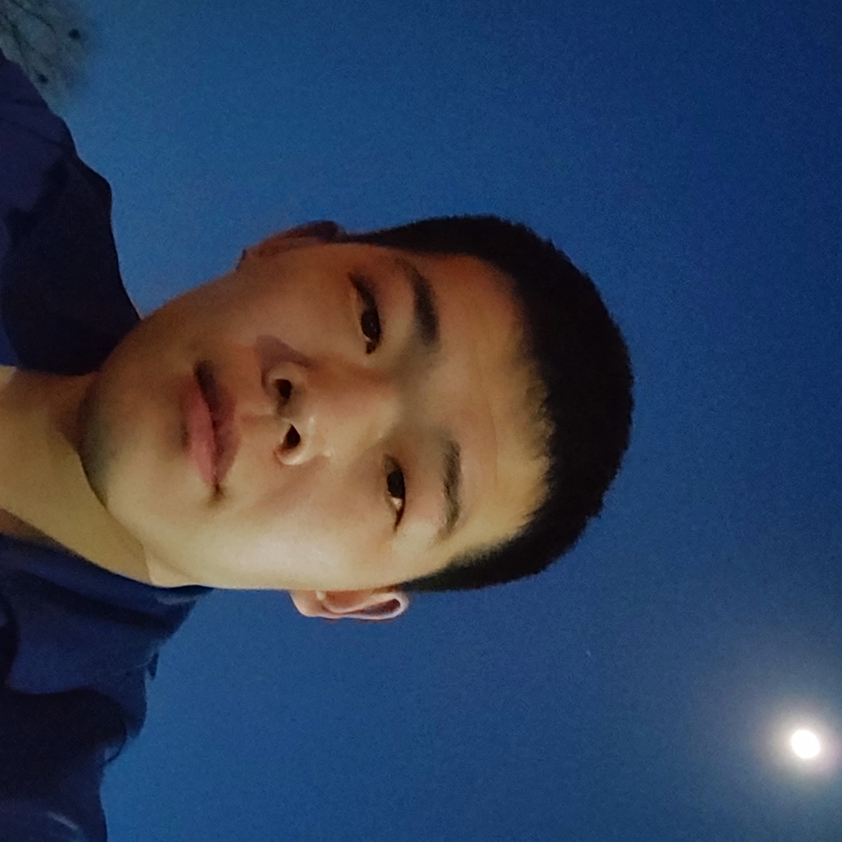 寂冷打小蚂蚁的照片