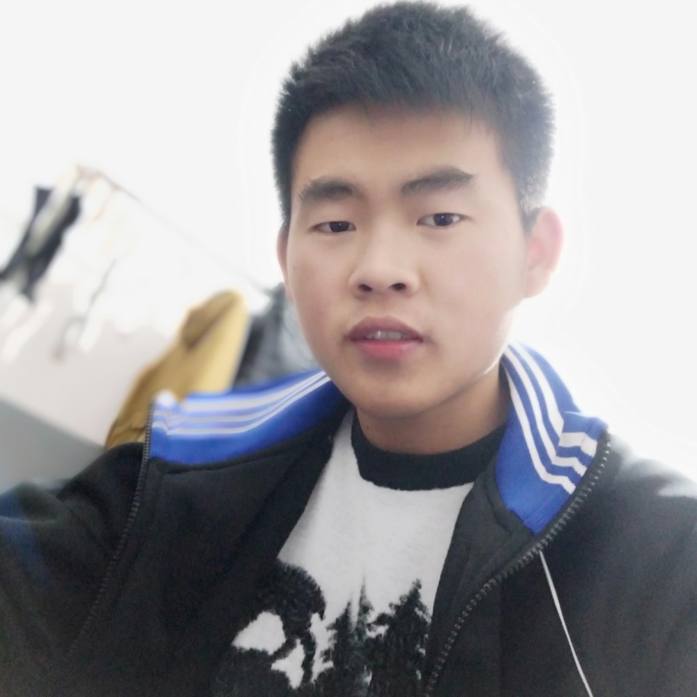 典雅龙猫的照片