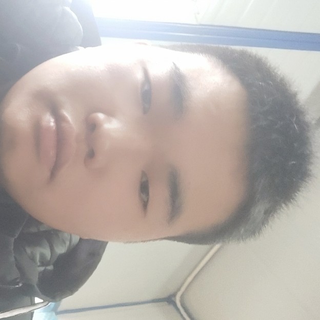 唯一的拾忆狗的照片