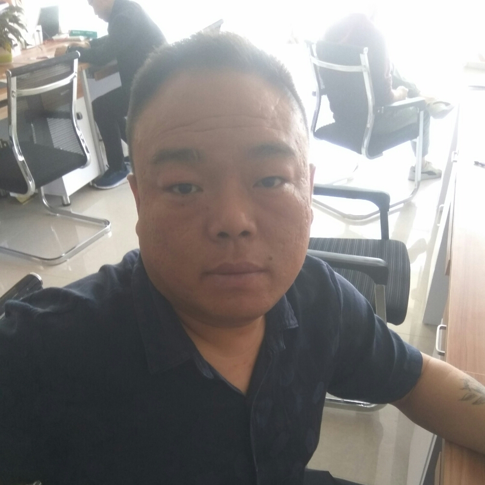 满意方斑马的照片