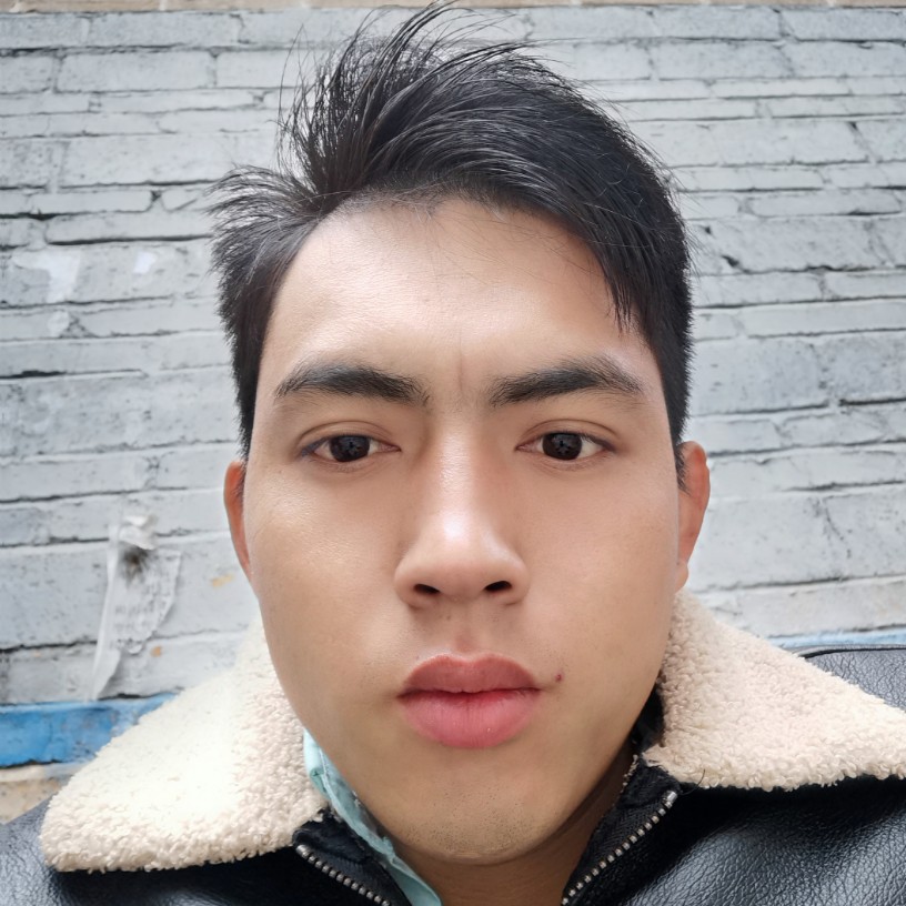 花瓣还沉默的照片