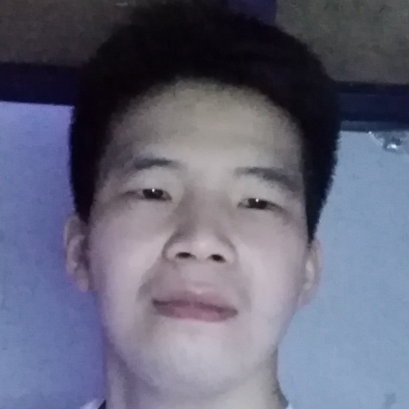 苹果用小蝴蝶的照片