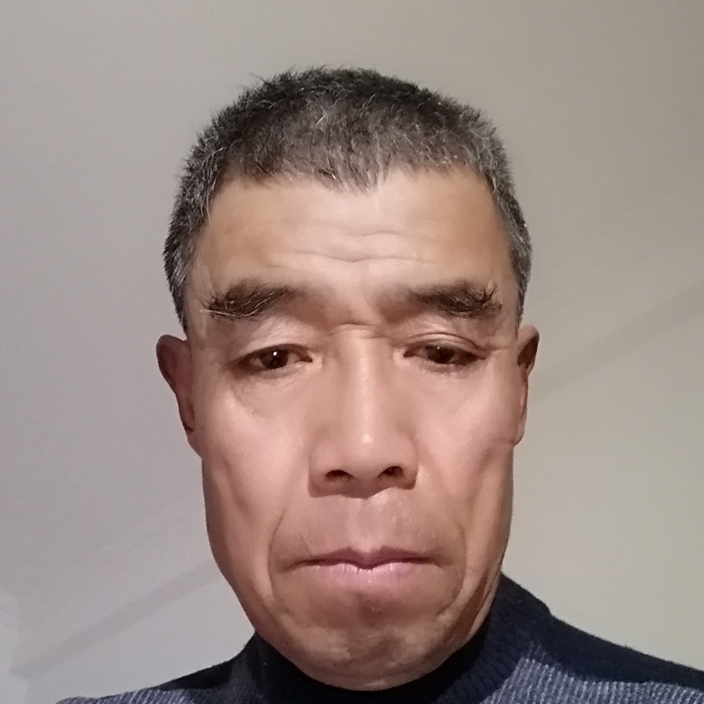 向日葵慈祥的照片
