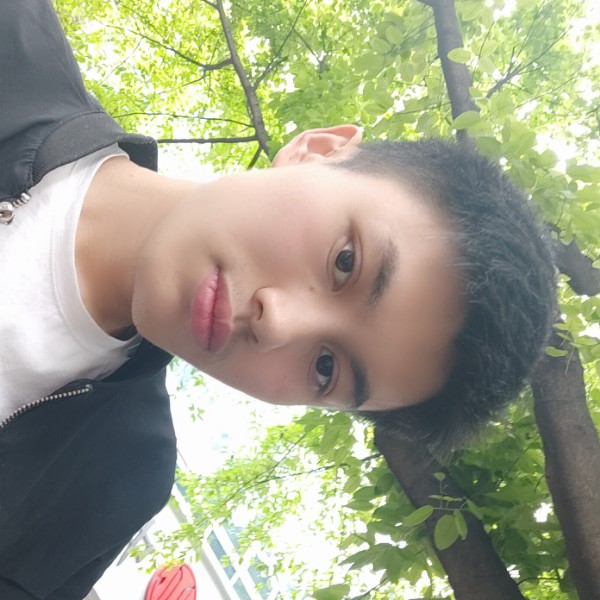 蝶衣深拥谁的照片