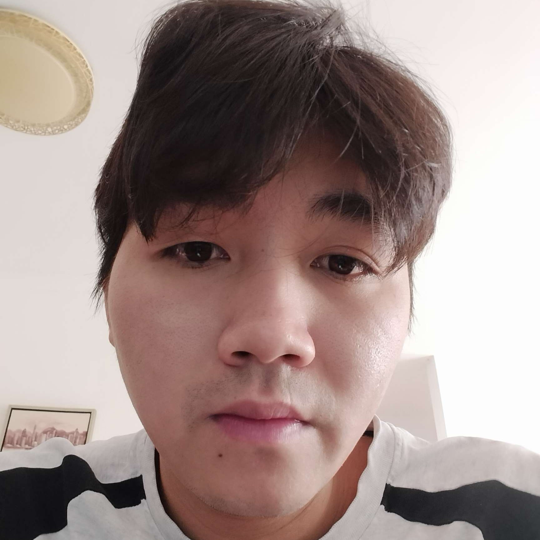 忽闻呢喃的照片