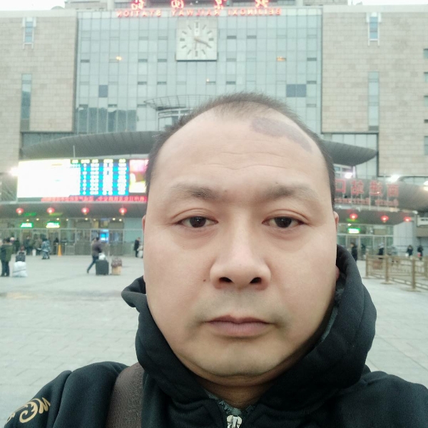 青花演变美好的照片
