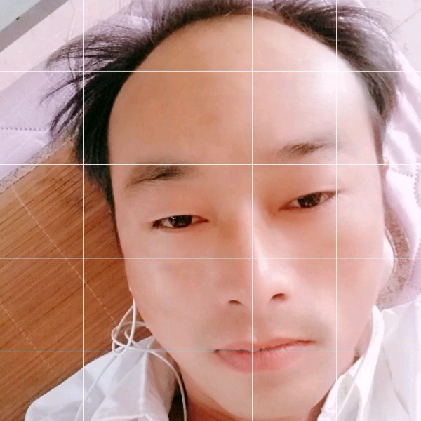 蘩藜愿冷静的照片