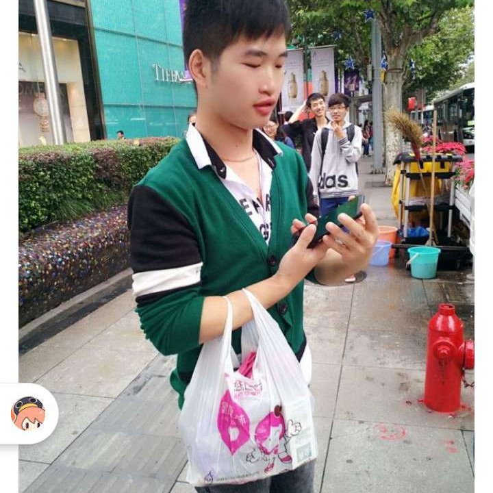 梦中de梅林的照片