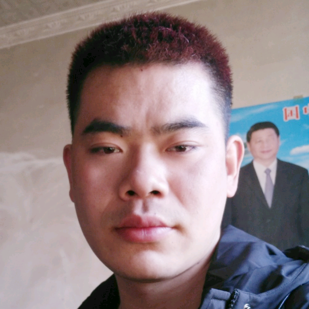 独木难支的照片