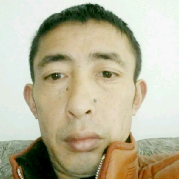 大神说呆萌的照片