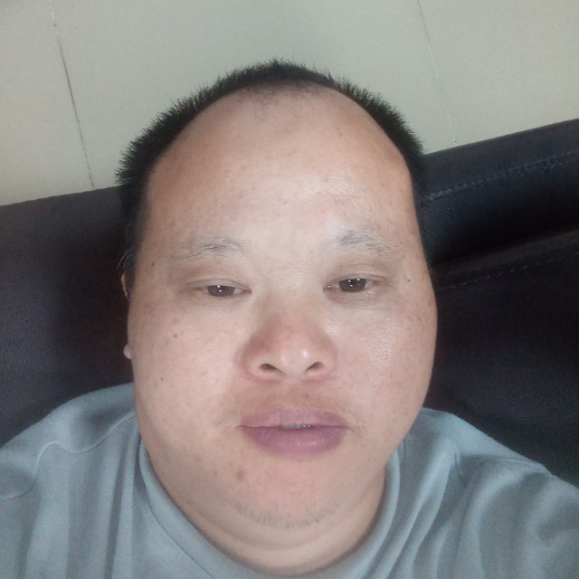 强健浅吻小鸽子的照片