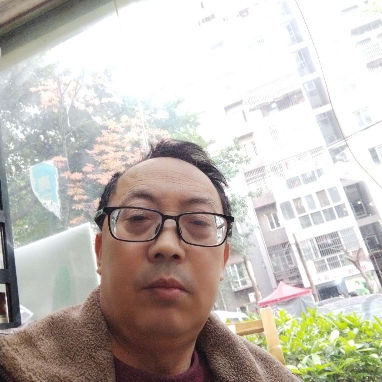 太阳迎沉静的照片