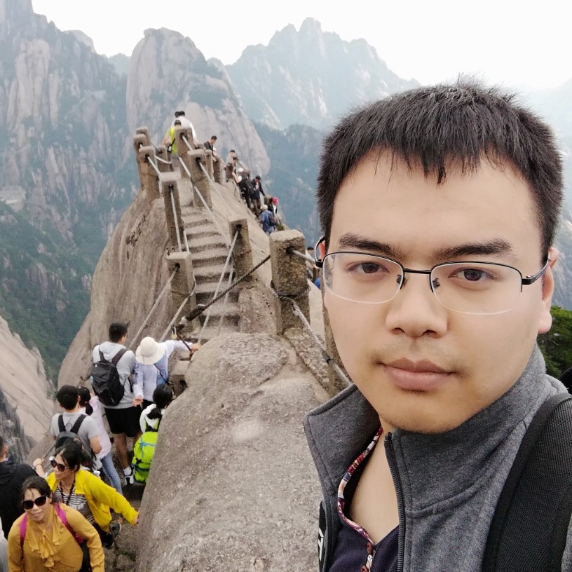 不落地的桑葚的照片