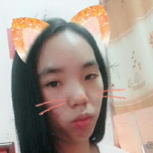 任性的猫的照片