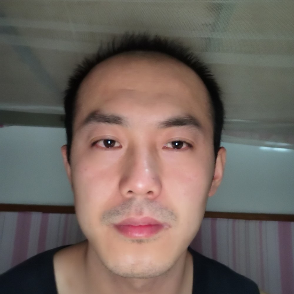 青青子衿之柳的照片