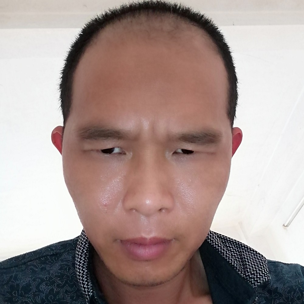 小刺猬光亮的照片