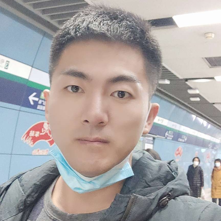 贪玩方向日葵的照片
