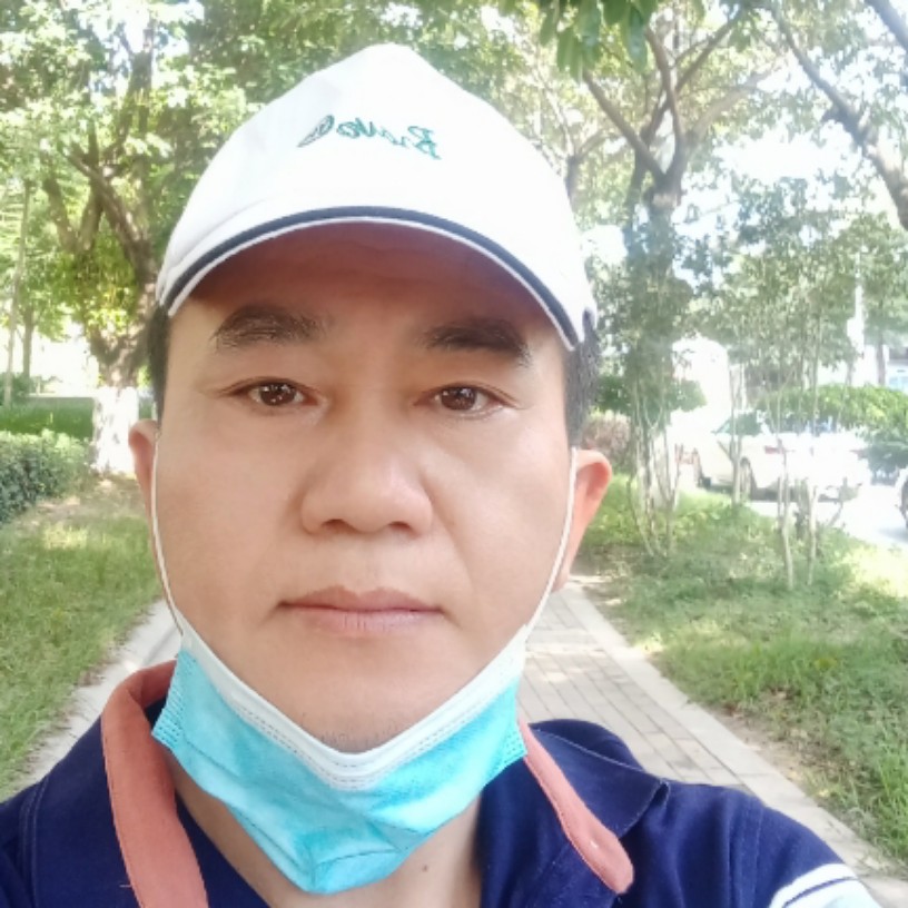 蚂蚁就自然的照片