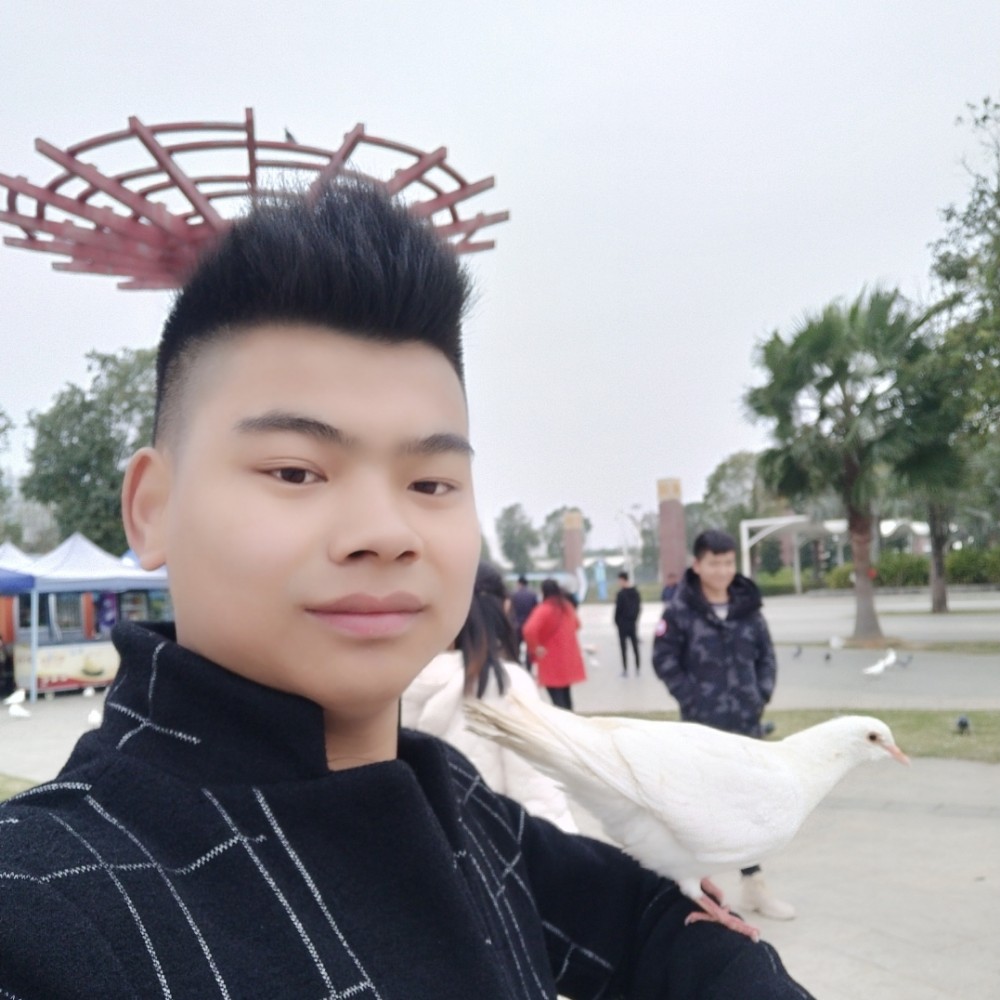 独特愿洋葱的照片