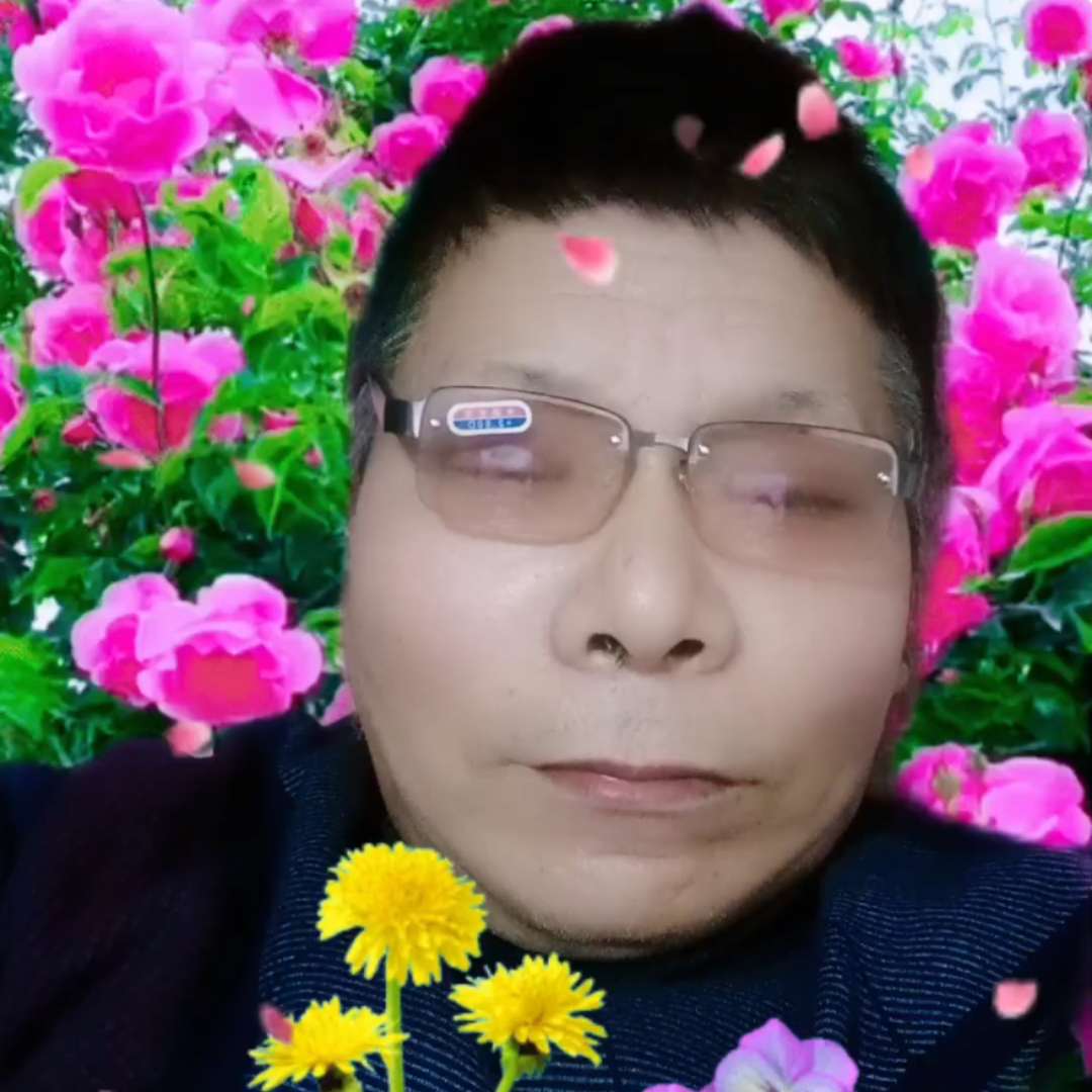 会员20376349的照片
