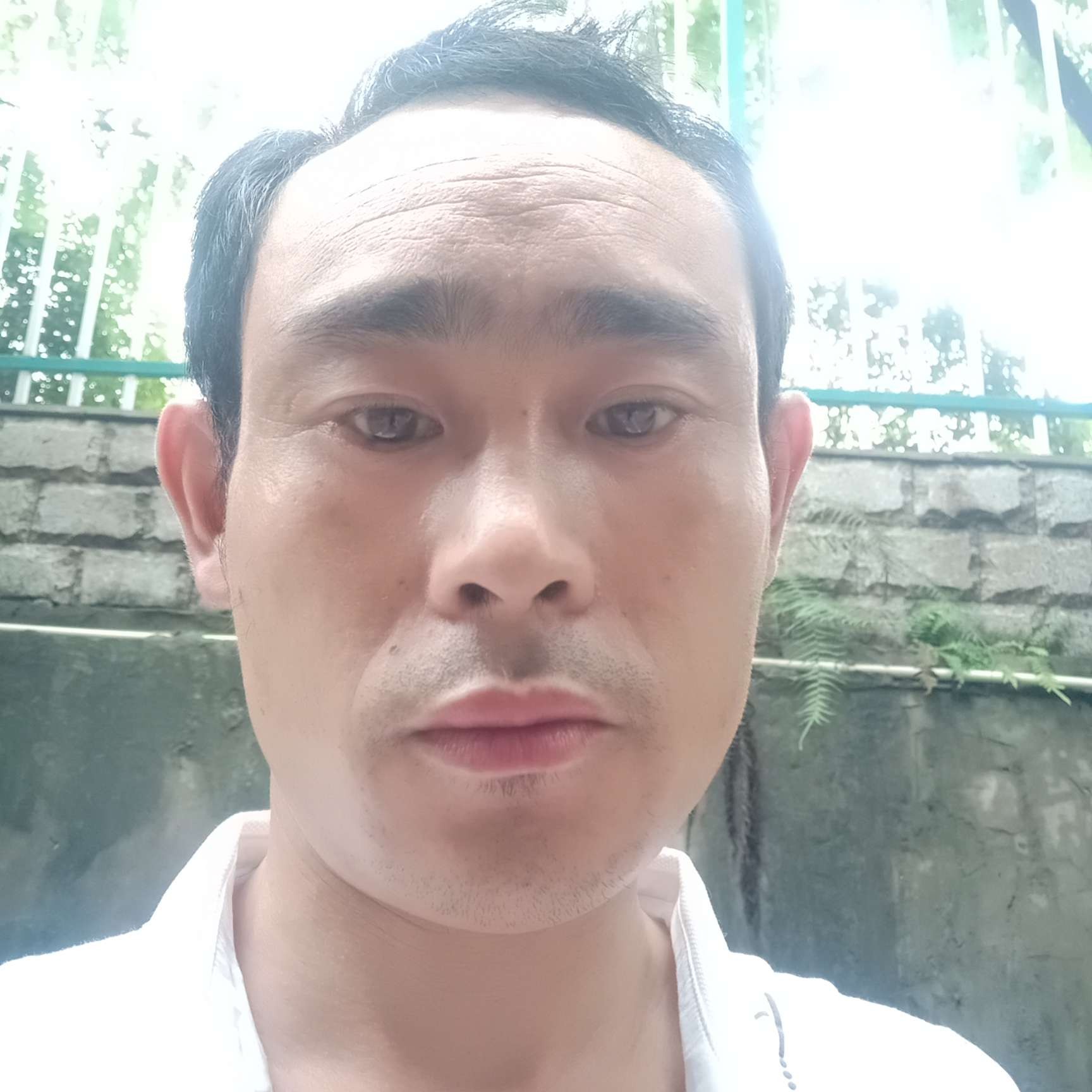 矮小与溪流的照片