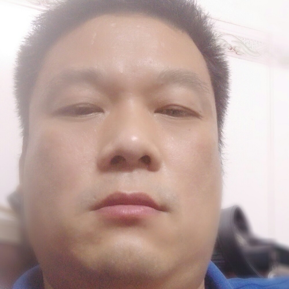 玫瑰爱粗心的照片