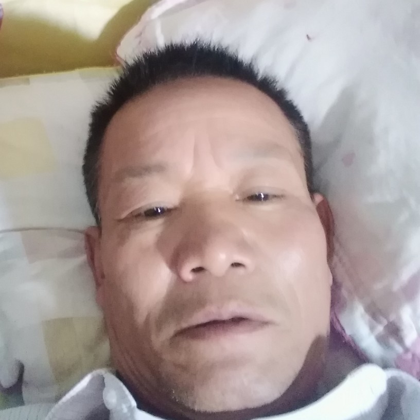 冥王星鲤鱼的照片