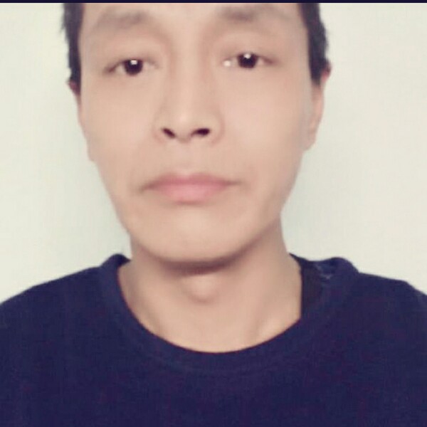 漫步痴情的照片