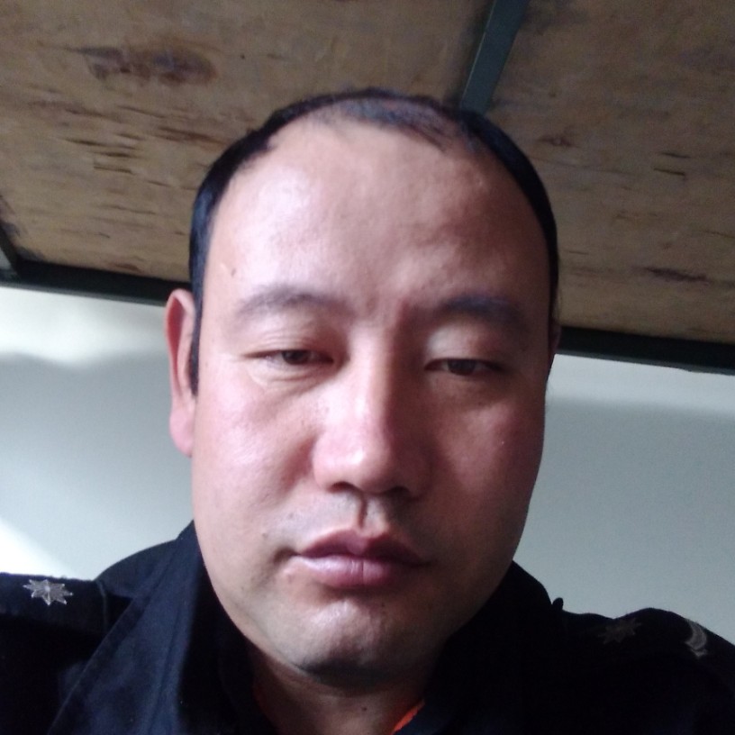 重要的红牛的照片