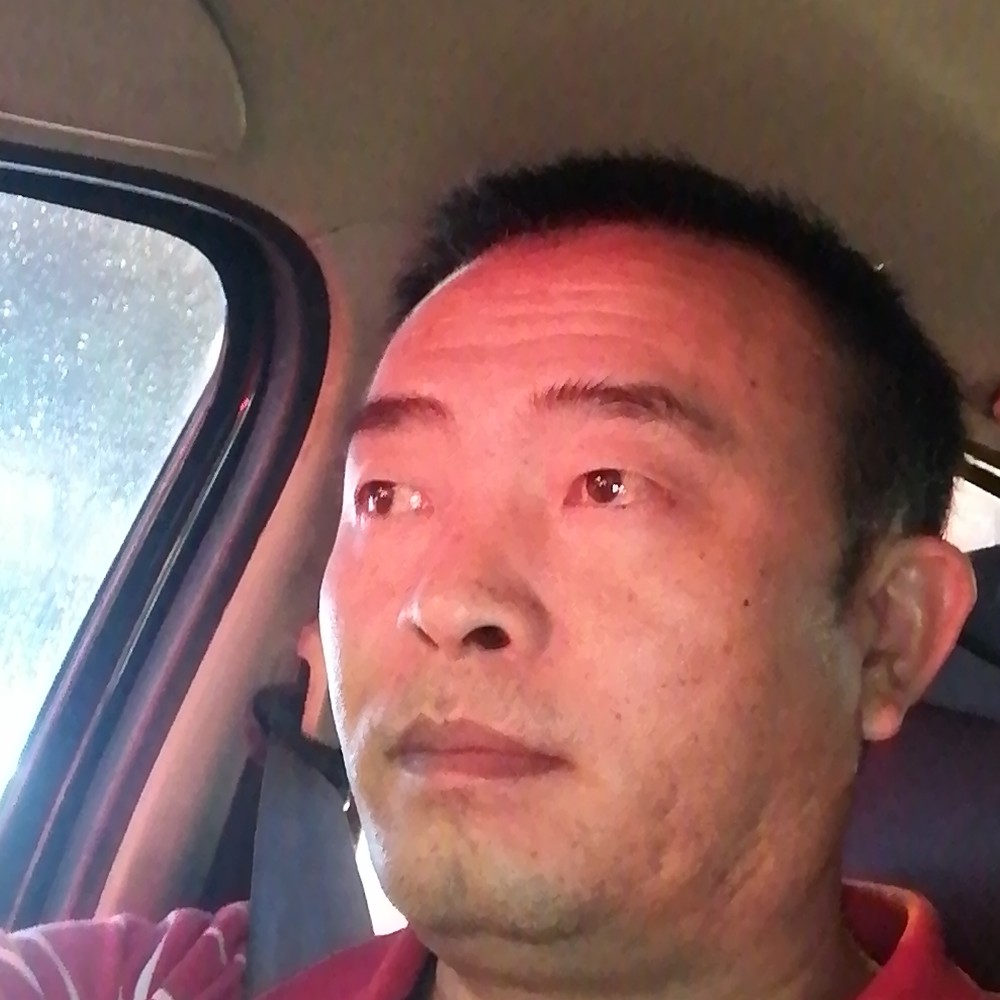 洋葱活泼的照片