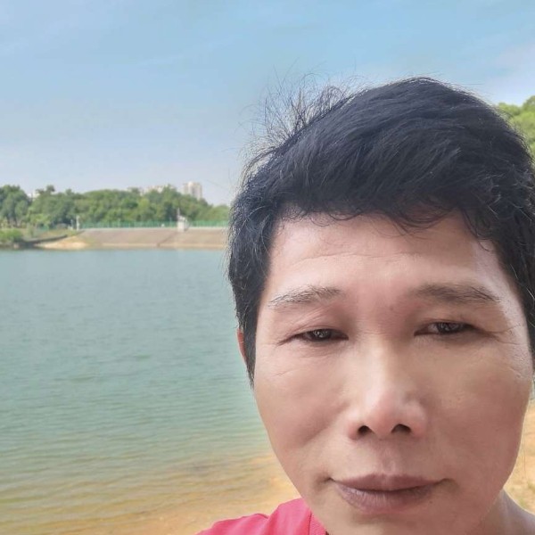 梦里的春天的照片