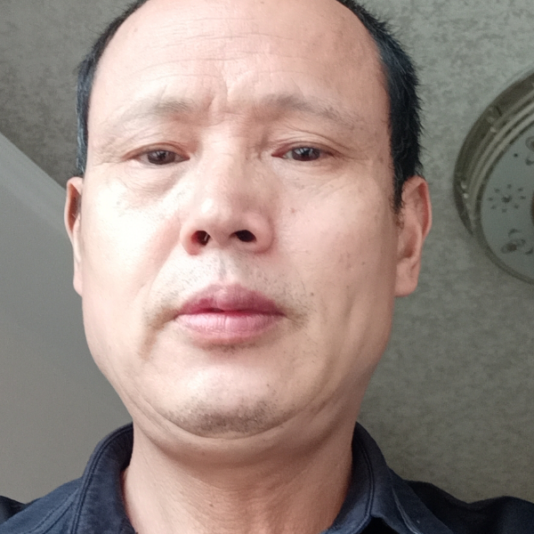 骏马飞奔的照片