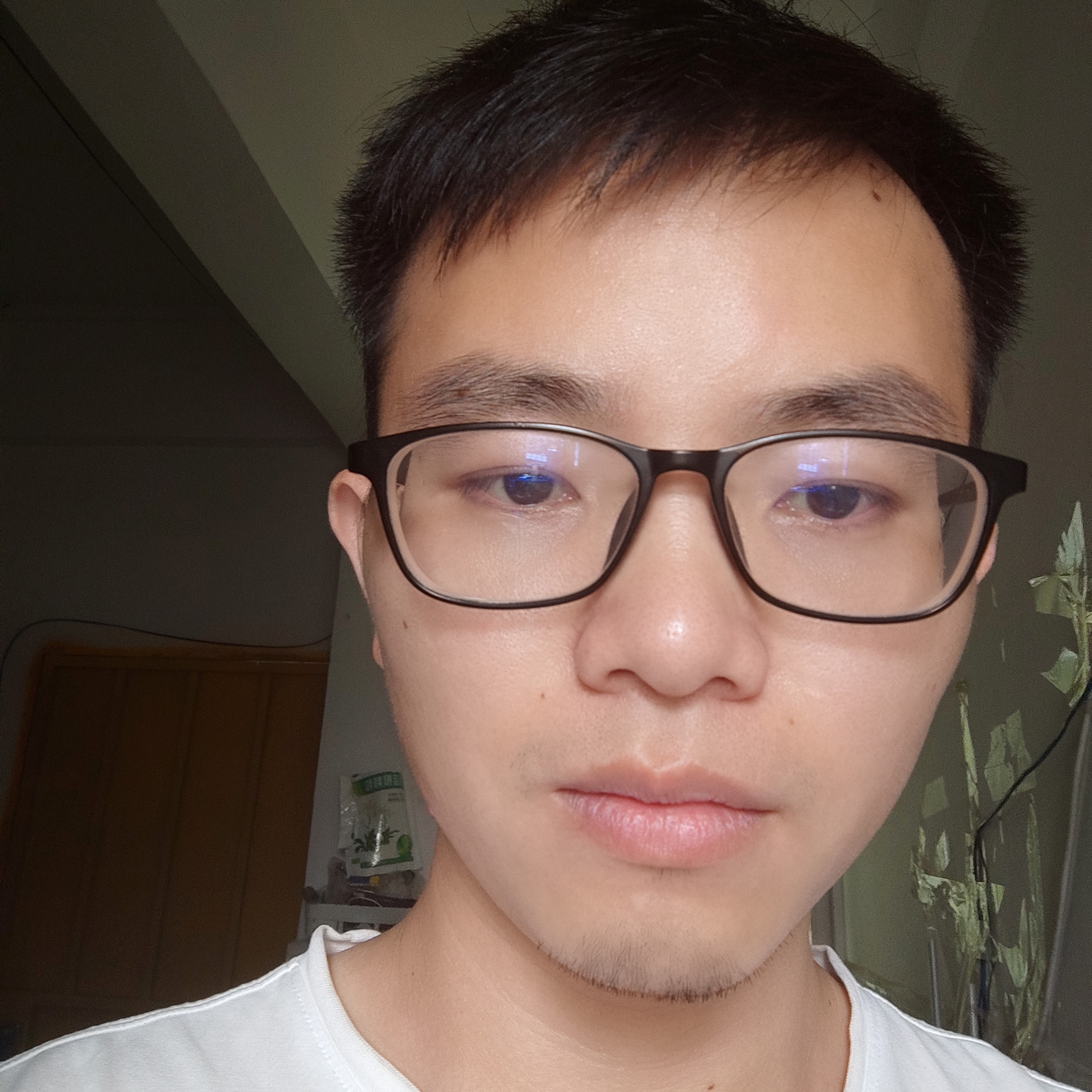 会员644713302的照片