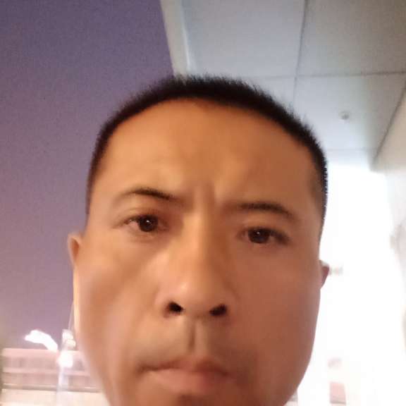 独木单丝的照片
