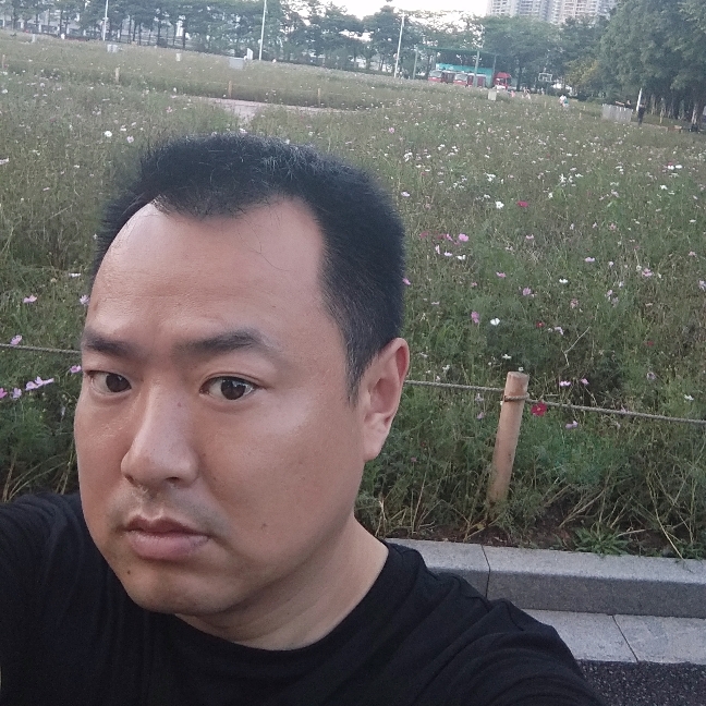 在线阳光的照片