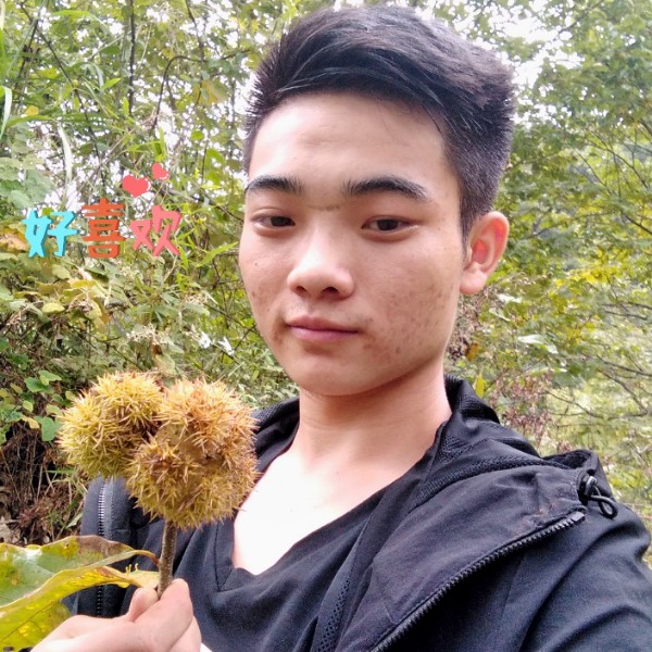 初夏~微~凉的照片