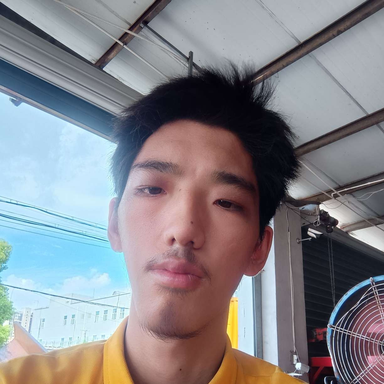 会员43633425的照片