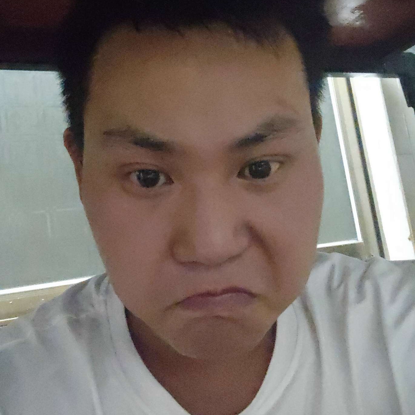 会员736864853的照片