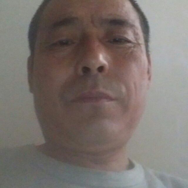 贪玩泪了康乃馨的照片