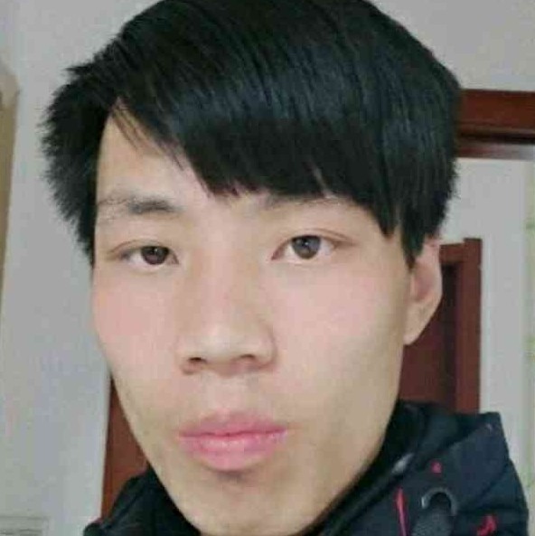 蜜蜂挽手俊秀的照片