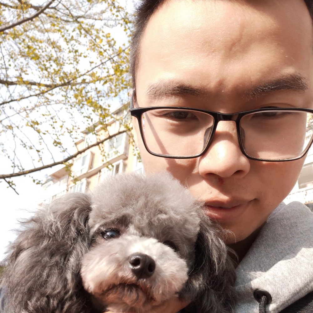 追寻0000的照片