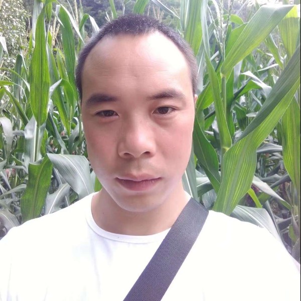 寻找未来得知己的照片