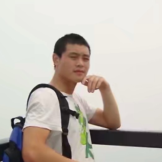香菇倾心风中的照片