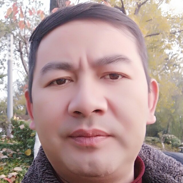 鼠标挽手活泼的照片